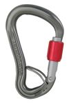 Image of the Wild Country Ascent Lite Belay Screwgate Carabiner