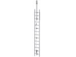 Image of the Rothoblaas Vertigrip on Ladder