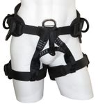 Image of the Sar Products Harrier 4 Sit Harness
