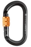 Image of the Vento Carabiner 