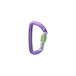 Image of the Wild Country Session Screw Gate Locking Karabiner