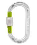 Image of the Edelrid OVAL POWER 2500 SCREW Silver