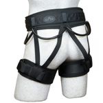Image of the Sar Products Hawk Sit Harness, Black