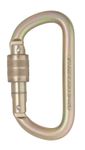 Image of the DMM 10mm Steel Equal D Screwgate Captive Bar Gold