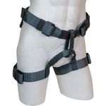 Image of the Sar Products Buzzard Sit Harness, Black