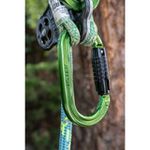Image of the Notch NOTCH ABSOLUTE OVAL CARABINER