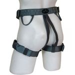 Image of the Sar Products Buzzard Sit Harness, Black