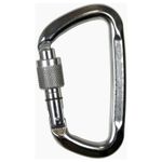 Image of the Climbing Technology D-Shape SG, silver
