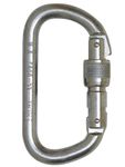 Thumbnail image of the undefined Steel D Screwgate Karabiner 10 mm