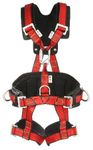 Image of the Miller Tower Harnesses, Large