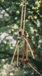 Image of the ART Ropeguide Twinline