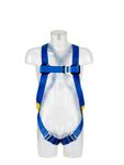 Image of the 3M Protecta E50 Harness Blue, Universal with back d-ring
