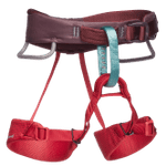 Thumbnail image of the undefined Momentum Harness - Kid's Wild Rose