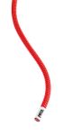 Image of the Petzl RUMBA 8 mm, 60 m red