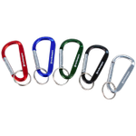 Thumbnail image of the undefined Promo Carabiner