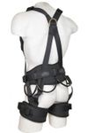 Image of the Sar Products Raptor Full Body Harness 4
